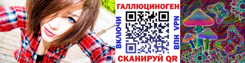 магазин продажи   Чекалин  Галлюциногенные грибы MAGIC MUSHROOMS 