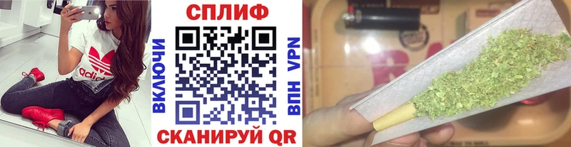 где найти наркотики  Чекалин  Каннабис тримм 